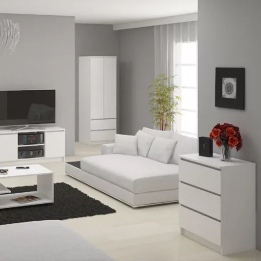 3-predalna moderna shranjevalna omara v beli barvi, 60x77x40 cm