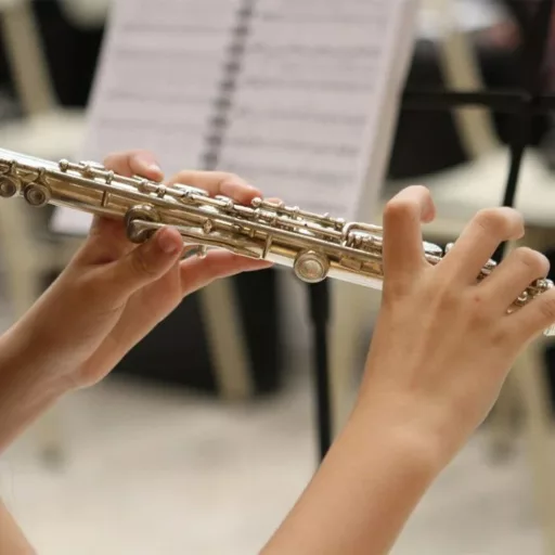 C uglašena flavta s trdim etuijem in dodatki za začetnike in napredne igralce