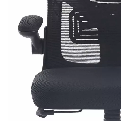 Ergonomski pisarniški stol z nastavljivimi naslonjali za roke in ledveno oporo, črn