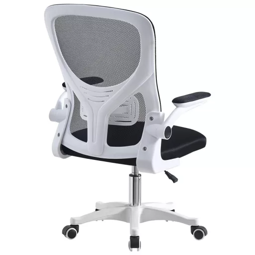Ergonomska pisarniška stolica z nastavljivima naslonoma za roke in ledveno oporo - 120 kg nosilnost