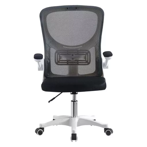 Ergonomska pisarniška stolica z nastavljivima naslonoma za roke in ledveno oporo - 120 kg nosilnost