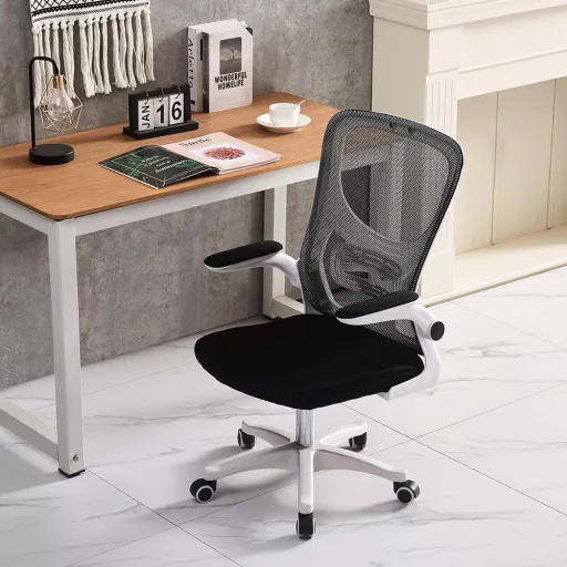 Ergonomska pisarniška stolica z nastavljivima naslonoma za roke in ledveno oporo - 120 kg nosilnost