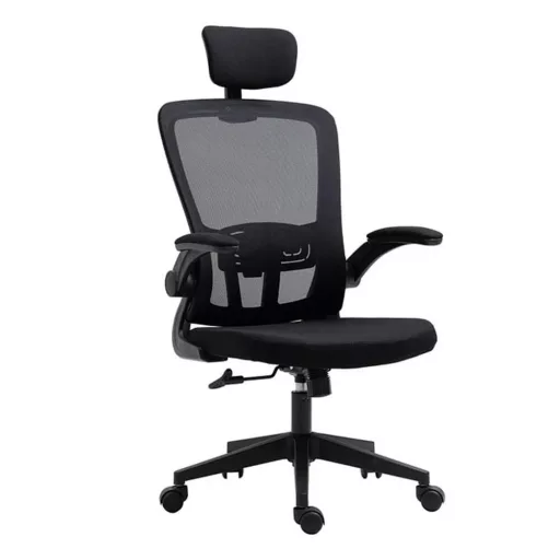 Ergonomski pisarniški stol z ledveno oporo in naslonjalom za glavo - Črn