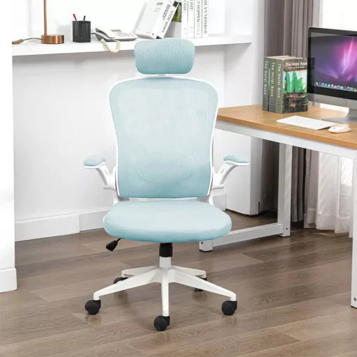 Ergonomski pisarniški stol z ledveno oporo in naslonjalom za glavo - svetlo modra