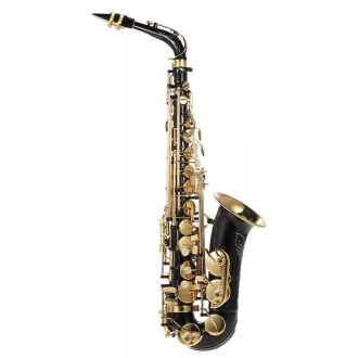   Brass Saxophone with Carrying Case - Rich Sound for Beginners and Professionals