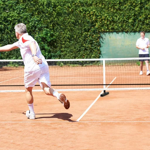 Prenosna mreža za pickleball z torbo
